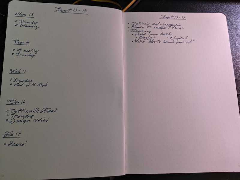 Example of a weekly log
